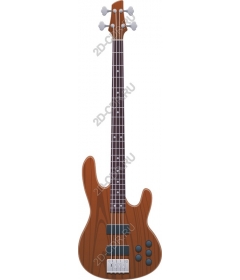  Electric bass guitar