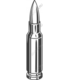 High quality bullet
