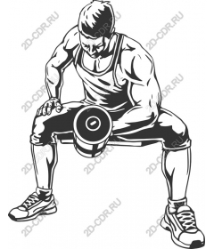  The power of reflection: Fitness