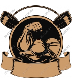  Develop your strength: muscular arms