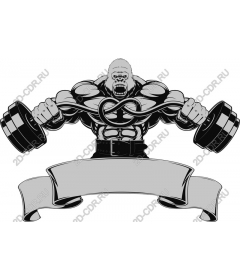  The Power Gorilla - Muscle Fitness
