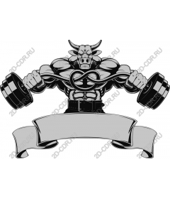  Fitness muscular bull