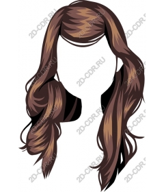  Elegant long hair