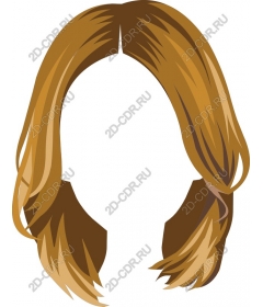  Elegant hair