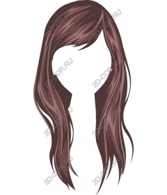  Elegant long hair