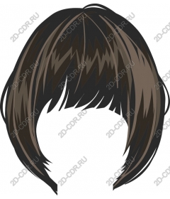  Chic Bob hairstyle