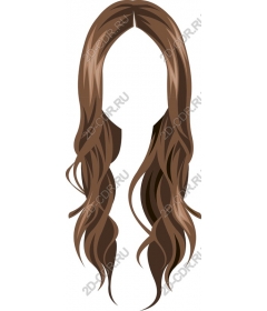 Long flowing brown hair