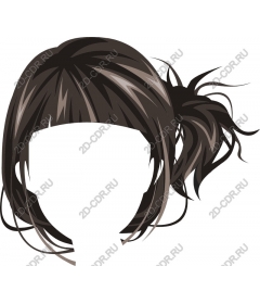  A chic pony tail