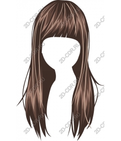  Elegant long hair