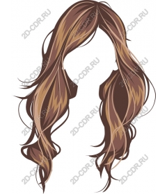  Luxurious long brown hair