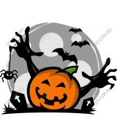  Pumpkin for Halloween