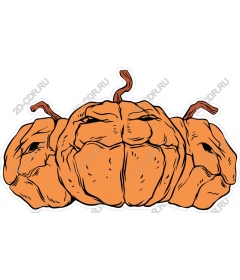  Charming Pumpkin Trio