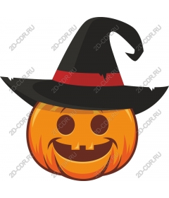  Fancy pumpkin witch hat