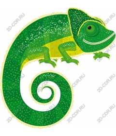  A bright chameleon