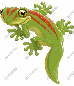  Bright cartoon frog