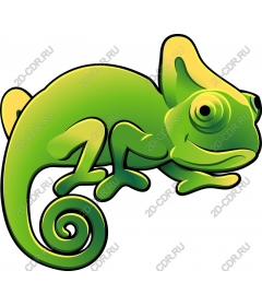  Charming Chameleon