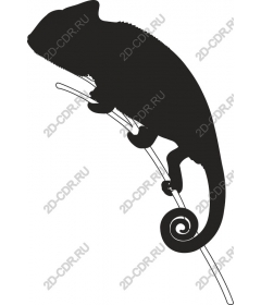  Chameleon