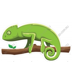 Green Chameleon