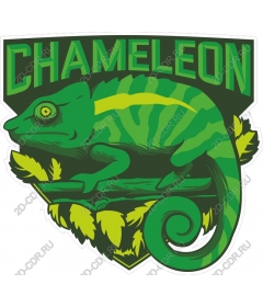  A bright chameleon