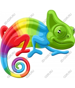  Rainbow Chameleon