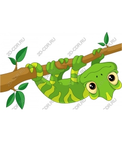  Charming green Gecko