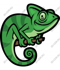  Charming green chameleon
