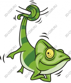 Playful chameleon