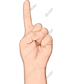 Index finger