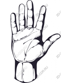  Human hand