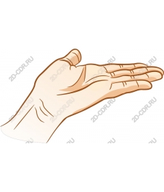  Elegantly outstretched hand