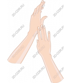  Elegant hands