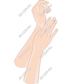  Elegant hands