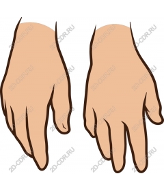  Elegant hands for communication