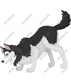  Dog breeds husky