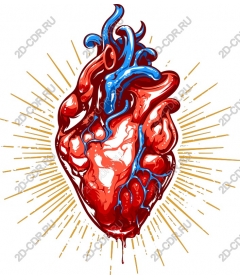 Living Heart