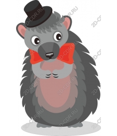  Dapper hedgehog
