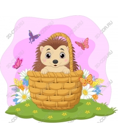  Adorable hedgehog in a basket