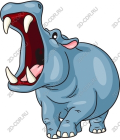 Playful Hippo