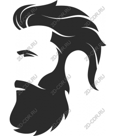  Stylized portrait of a bearded man