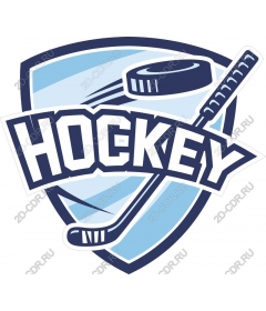Dynamic hockey