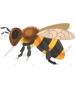  A charming bee