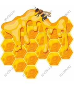  Cell delicacy with honey and bees