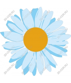  Sunny blue Daisy