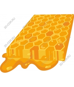  Cell delight