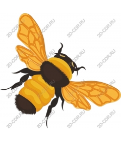  Bee - Bumblebee