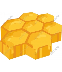  Honeycomb