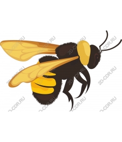  A charming bee