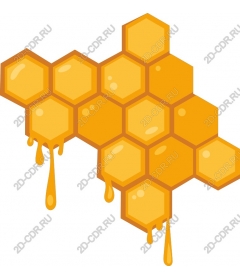  Bright honeycomb with dripping honey