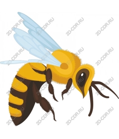  A charming bee