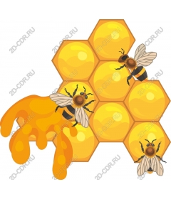  Honeycomb and bees